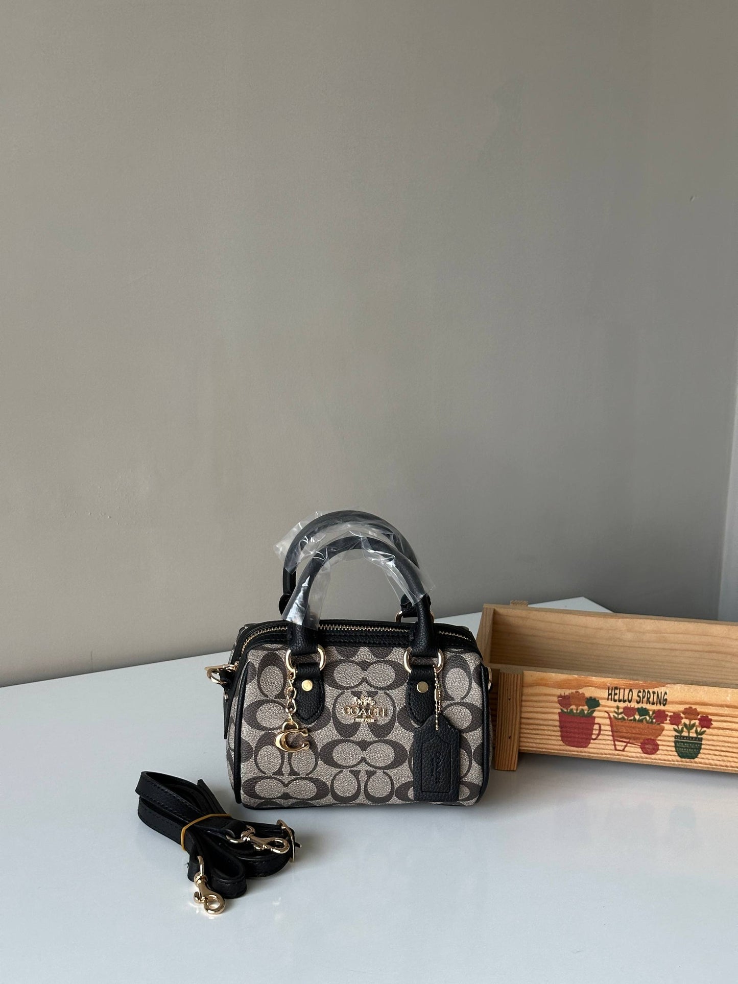 COACH Mini Rowan Crossbody Çanta (CHARMLI)