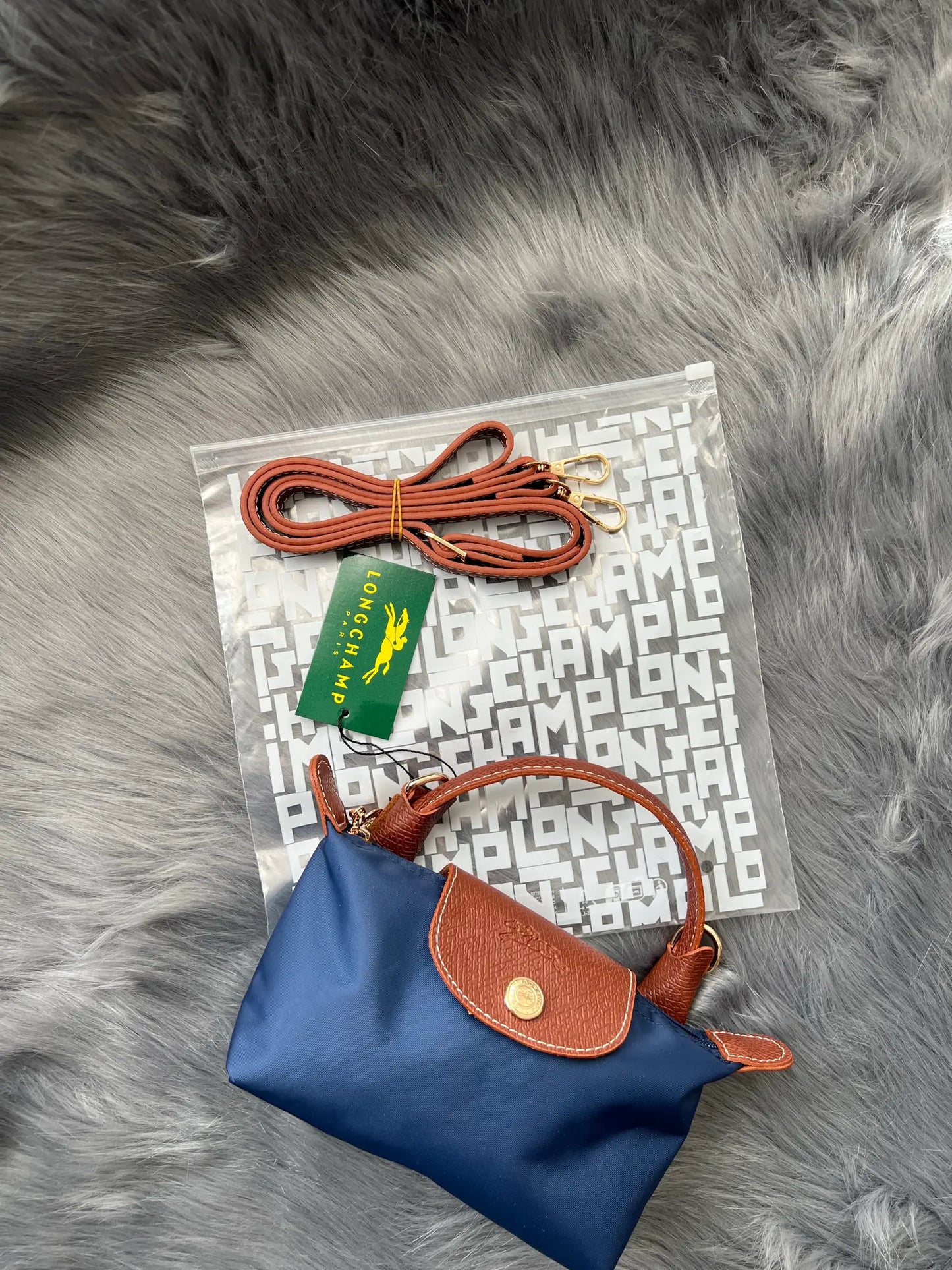 Longchamp Mini